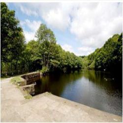 Luxurious Supported Living For Seniors